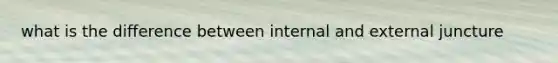 what is the difference between internal and external juncture