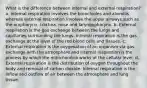 What is the difference between internal and external respiration? a. internal respiration involves the bronchioles and alveoliis whereas external respiration involves the upper airways such as the oropharynx, trachea, nose and laryngopharynx. b. External respiration is the gas exchange between the lungs and capillaries surrounding the lungs. Internal respiration is the gas exchange at the level of the red blood cells and tissues. c. External respiration is the oxygenation of an organism via gas exchange with the atmosphere and internal respiration is the process by which the mitochondria works at the cellular level. d. External respiration is the distribution of oxygen throughout the body and removal of carbon dioxide. Internal respiration is the inflow and outflow of air between the atmosphere and lung tissue.