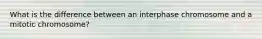 What is the difference between an interphase chromosome and a mitotic chromosome?