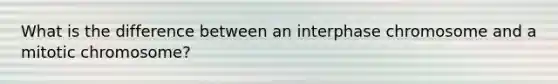 What is the difference between an interphase chromosome and a mitotic chromosome?