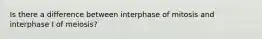 Is there a difference between interphase of mitosis and interphase I of meiosis?