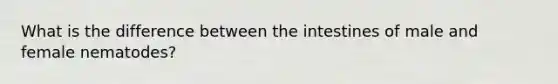What is the difference between the intestines of male and female nematodes?
