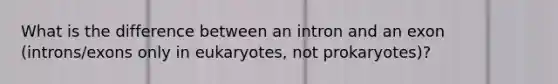 What is the difference between an intron and an exon (introns/exons only in eukaryotes, not prokaryotes)?