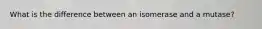 What is the difference between an isomerase and a mutase?