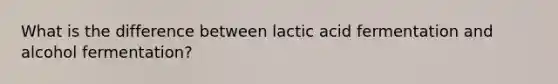 What is the difference between lactic acid fermentation and alcohol fermentation?