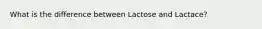 What is the difference between Lactose and Lactace?