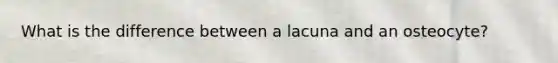 What is the difference between a lacuna and an osteocyte?