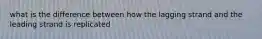 what is the difference between how the lagging strand and the leading strand is replicated