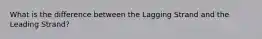 What is the difference between the Lagging Strand and the Leading Strand?