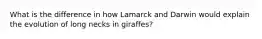 What is the difference in how Lamarck and Darwin would explain the evolution of long necks in giraffes?