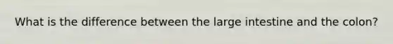 What is the difference between the large intestine and the colon?