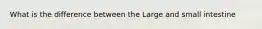 What is the difference between the Large and small intestine