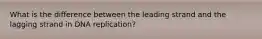 What is the difference between the leading strand and the lagging strand in DNA replication?