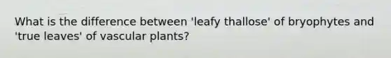 What is the difference between 'leafy thallose' of bryophytes and 'true leaves' of vascular plants?