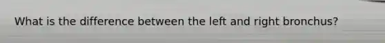 What is the difference between the left and right bronchus?