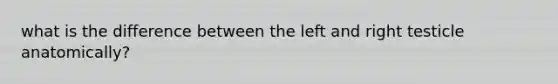 what is the difference between the left and right testicle anatomically?