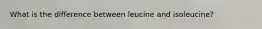 What is the difference between leucine and isoleucine?