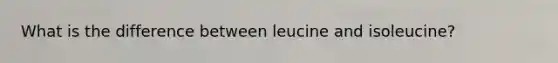 What is the difference between leucine and isoleucine?