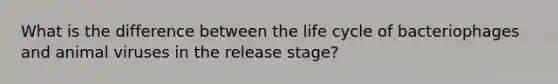 What is the difference between the life cycle of bacteriophages and animal viruses in the release stage?