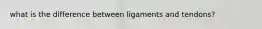 what is the difference between ligaments and tendons?