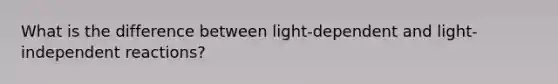 What is the difference between light-dependent and light-independent reactions?