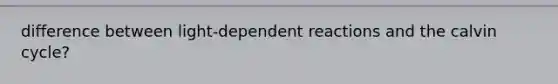 difference between light-dependent reactions and the calvin cycle?
