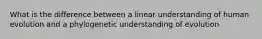 What is the difference between a linear understanding of human evolution and a phylogenetic understanding of evolution