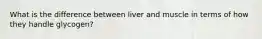 What is the difference between liver and muscle in terms of how they handle glycogen?