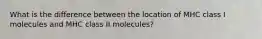 What is the difference between the location of MHC class I molecules and MHC class II molecules?