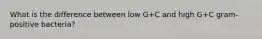 What is the difference between low G+C and high G+C gram-positive bacteria?