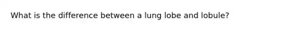 What is the difference between a lung lobe and lobule?