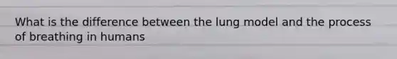 What is the difference between the lung model and the process of breathing in humans