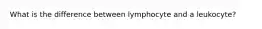 What is the difference between lymphocyte and a leukocyte?