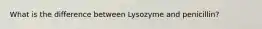 What is the difference between Lysozyme and penicillin?