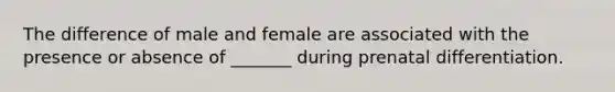 The difference of male and female are associated with the presence or absence of _______ during prenatal differentiation.