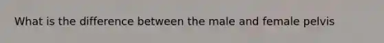What is the difference between the male and female pelvis