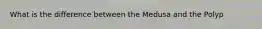 What is the difference between the Medusa and the Polyp