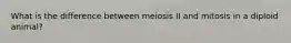 What is the difference between meiosis II and mitosis in a diploid animal?