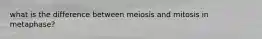 what is the difference between meiosis and mitosis in metaphase?