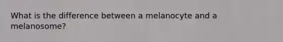 What is the difference between a melanocyte and a melanosome?