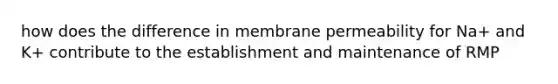 how does the difference in membrane permeability for Na+ and K+ contribute to the establishment and maintenance of RMP