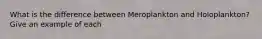 What is the difference between Meroplankton and Holoplankton? Give an example of each