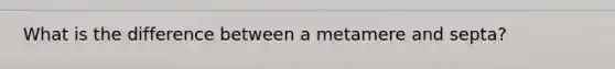 What is the difference between a metamere and septa?