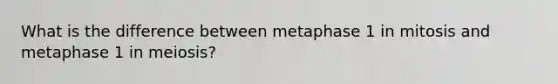 What is the difference between metaphase 1 in mitosis and metaphase 1 in meiosis?