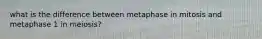 what is the difference between metaphase in mitosis and metaphase 1 in meiosis?