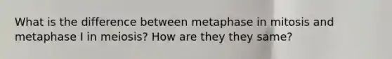 What is the difference between metaphase in mitosis and metaphase I in meiosis? How are they they same?