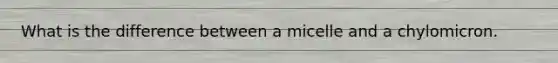 What is the difference between a micelle and a chylomicron.