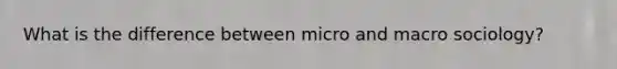 What is the difference between micro and macro sociology?