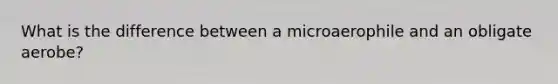 What is the difference between a microaerophile and an obligate aerobe?