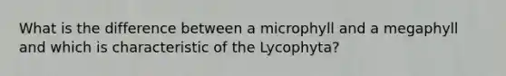 What is the difference between a microphyll and a megaphyll and which is characteristic of the Lycophyta?